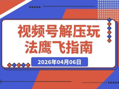 鹰眼视角玩转视频号，日入500+轻松变现，一键复制多平台赚钱攻略