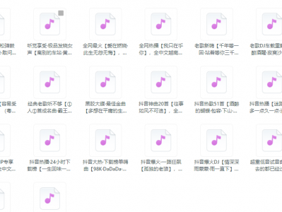 2025年【高品质车载DJ【音乐大碟】】无损音质全集（免费赠送），驾驶必备热门DJ资源