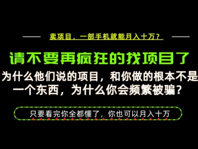 为什么做项目的人大多都是炮灰？为什么只有卖项目才能稳？看完你也可以月入10W+【揭秘】
