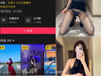 唐十七 秘语空间