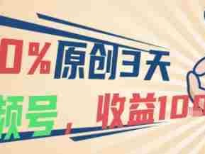 100%原创，3天起视频号，视频号当下最稳最容易出效果赛道，收益1k+