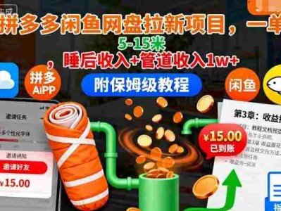 拼多多闲鱼网盘拉新项目，一单5-15米，睡后收入+管道收入1w+（附保姆级教程）