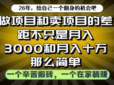 做项目和卖项目不只是月入3K和10W那么简单，一个努力搬砖，一个在家躺賺【揭秘】