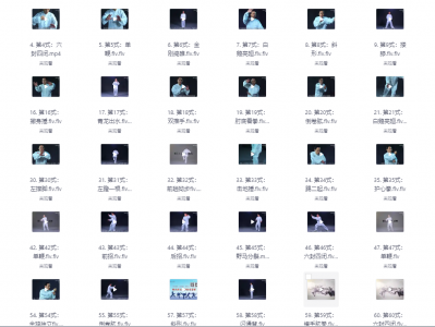 太极拳 视频教程 养生必备 [共74势][MP4]