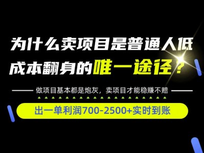 普通人如何靠互联网賺取自己的第一桶金！全类目实操型教学，看完你全都懂了！【揭秘】