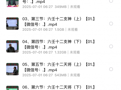 高鸿儒《大六壬高级课程弟子班》39集44GB