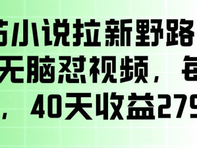 番茄小说拉新野路子玩法，无脑怼视频，玩法简单、见效快，每单10米，40天收益27950