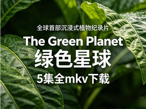 《Daily Dictation》843集mp4全下载-油管超火的美国外教Shane每日听写训练.jpg